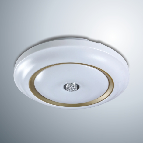 MX350-L15W 芯之諜(香檳金)